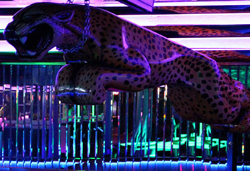 Cheetah’s Strip Club | Las Vegas Nightclubs